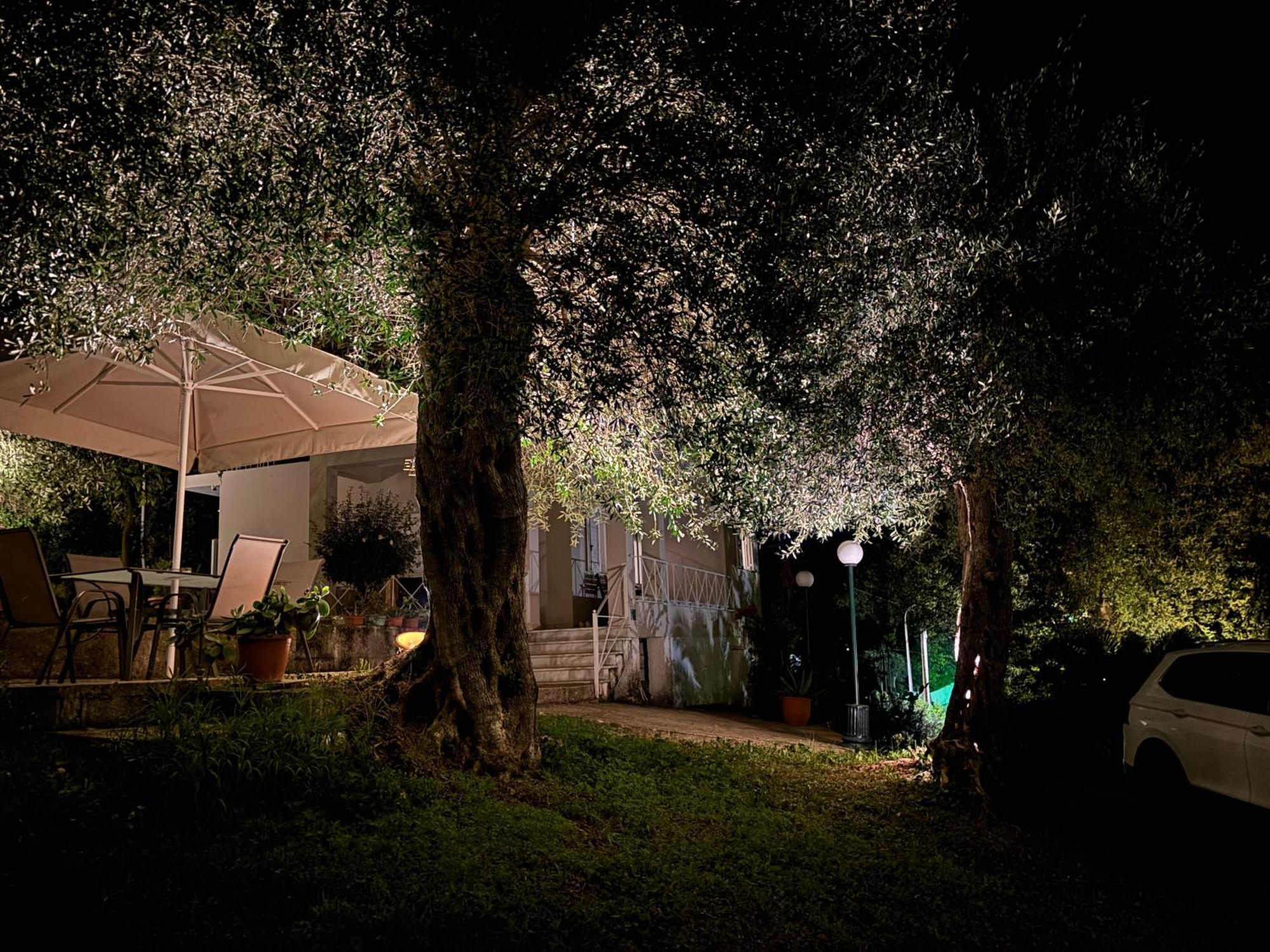 Casa Sofia Villa Dassia  Luaran gambar